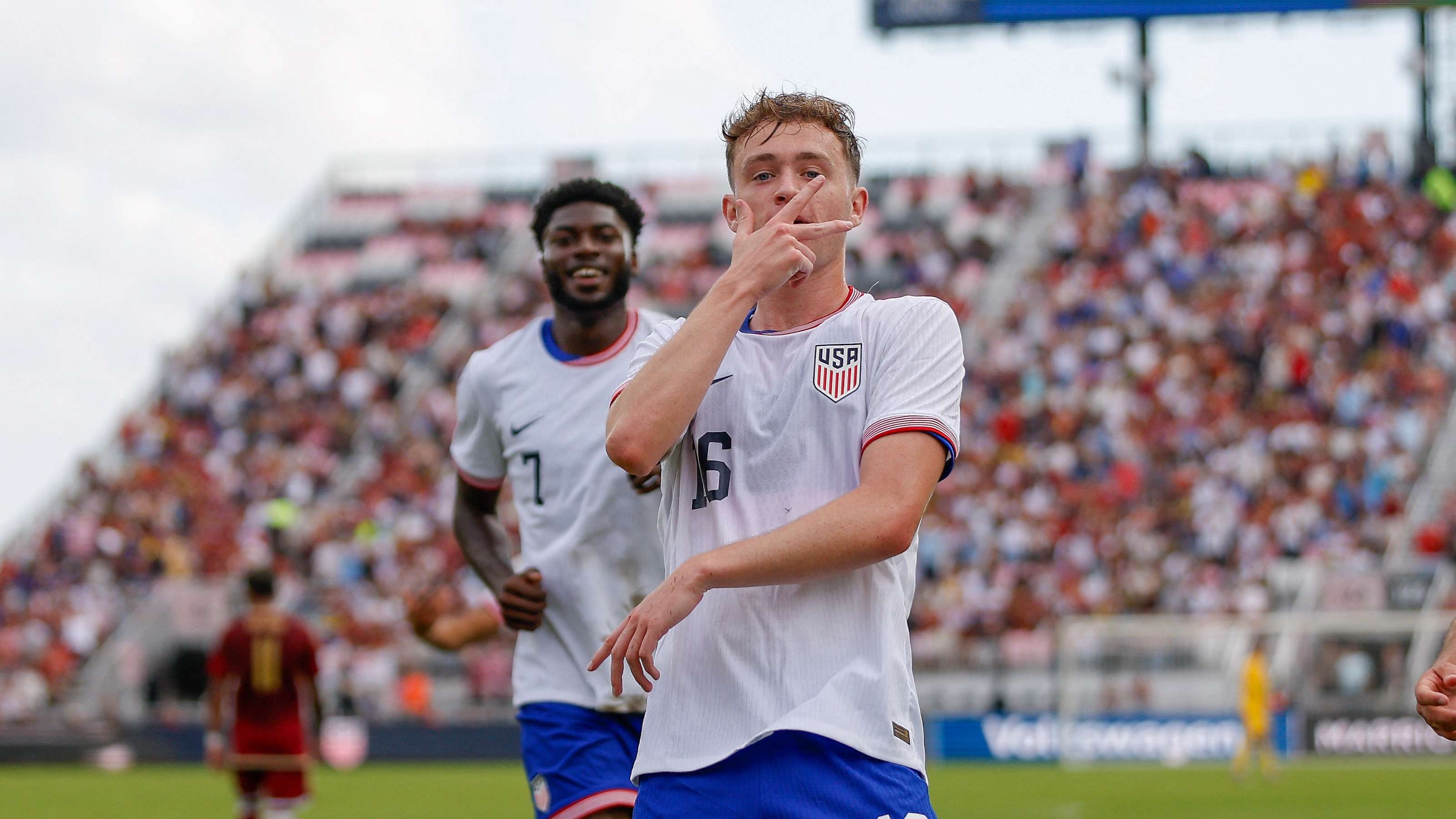 球迷和专家 球迷和专家