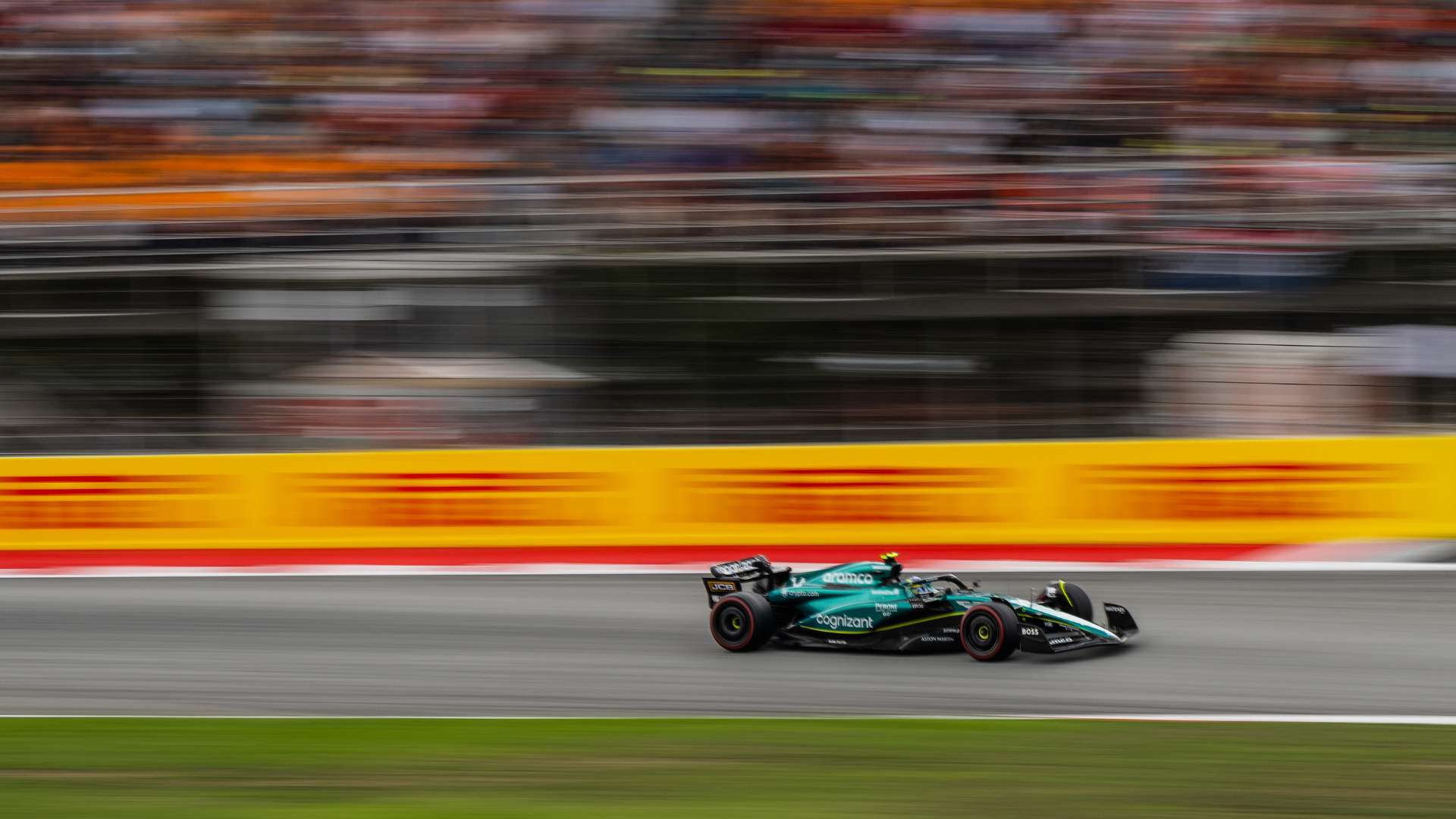 不仅能够提 不仅能够提